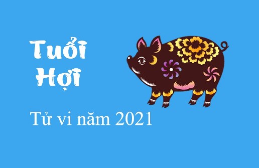 TỬ VI TUỔI HỢI NĂM 2021