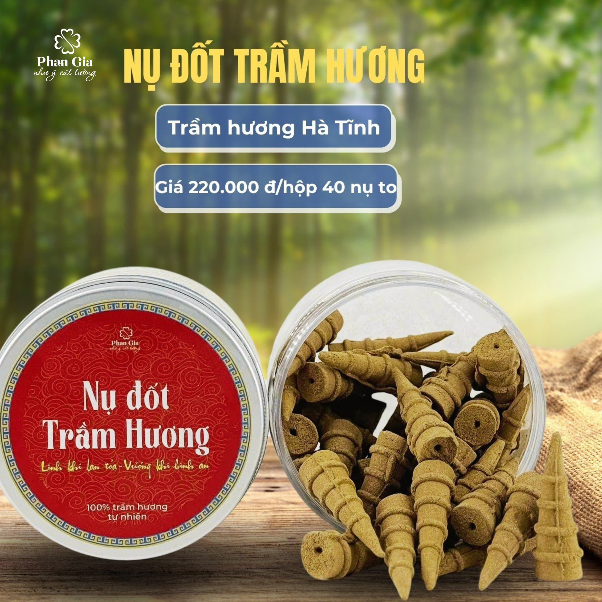 Nụ đốt trầm hương Hà Tĩnh tại Tân Kì